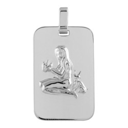 PENDENTIF ZODIAQUE PLAQUE GI POISSONS ARGENT RHODIE BRILLANT