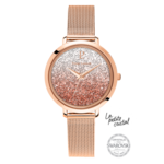 Montre Femme petite Cristal Dgrad PIERRE LANNIER