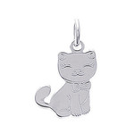 Pendentif argent rhodi chat