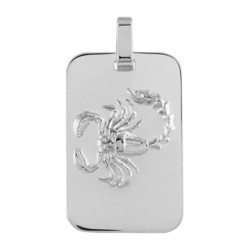 PENDENTIF ZODIAQUE PLAQUE GI POISSONS ARGENT RHODIE BRILLANT