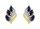Boucle d'oreille saphir bicolore 29PF12BS 